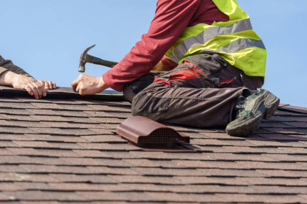 Best Roof Gutter Cleaning  in North Auburn, CA